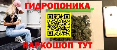 индика Северобайкальск